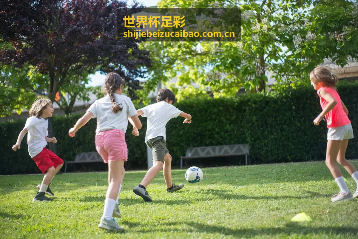 世界杯足彩南美赛事分析